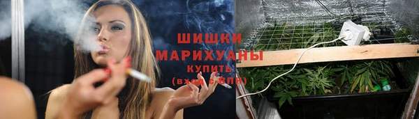 apvp Арсеньев