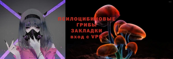 apvp Арсеньев