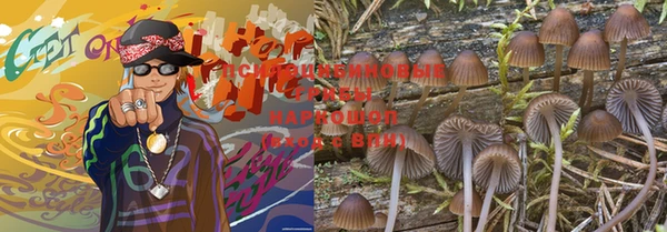 прущая мука Аркадак