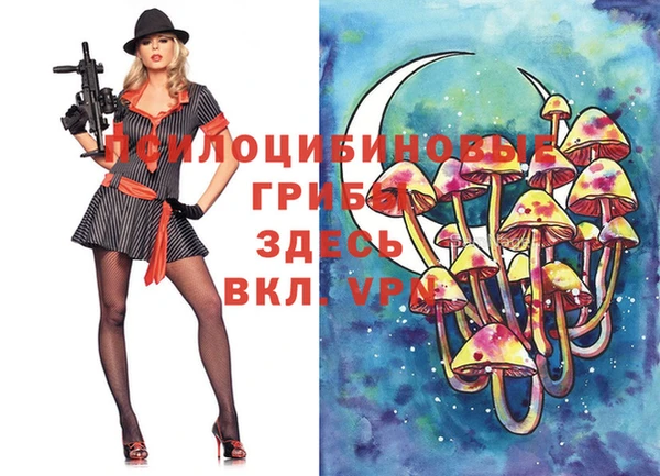 apvp Арсеньев