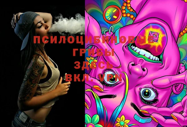 прущая мука Аркадак