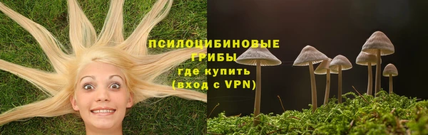 гидра Волоколамск