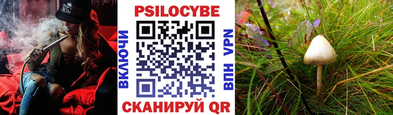 где купить наркотик  Очёр  OMG ссылки  Галлюциногенные грибы мухоморы 